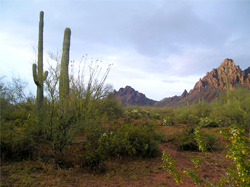 Ironwood Forest National Monument